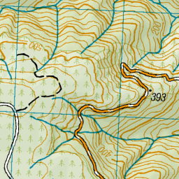 BEAUMONT FOREST Otago NZ Topo Map