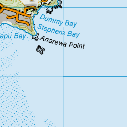 Dummy Bay Tasman Nz Topo Map