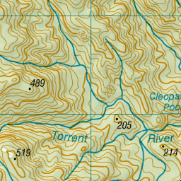 Hassy orar Lionel Green Street Torrent River, Tasman - NZ Topo Map